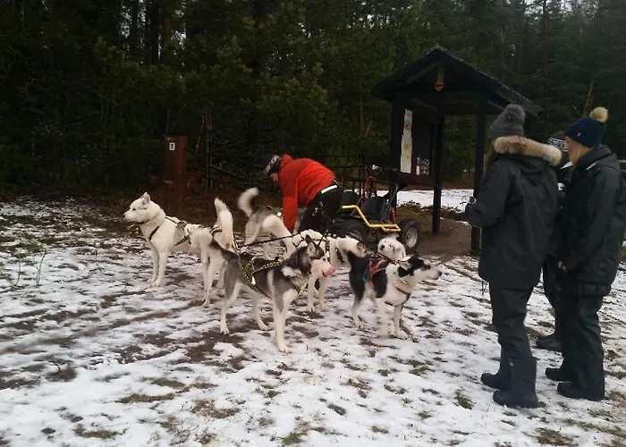 公寓 Poppelstrand Nuuksio, Pet Friendly Guest *